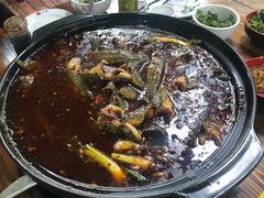 -金海椒罐罐鲢鱼(东方桂苑店)