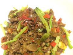 -上海财经大学-新食堂