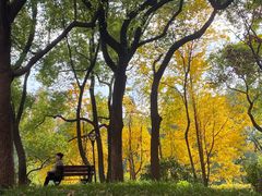 -徐家汇源景区-衡山公园