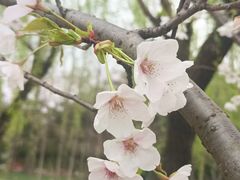 -大宁公园