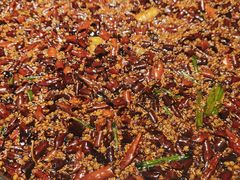 -胖子鱼·天水麻辣鱼火锅(秦州407店)