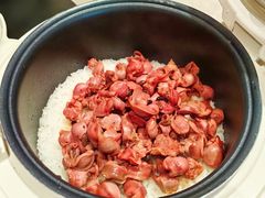 -羽鸽集·乳鸽专门店·地道顺德菜(岭南站店)