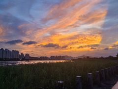 -江心屿景区