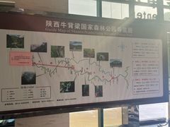-牛背梁国家森林公园