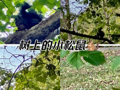 -黑龙江省森林植物园