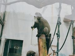 -无锡动物园·太湖欢乐园
