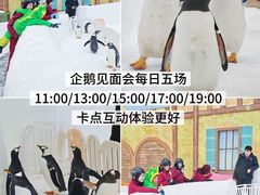 -广州热雪奇迹
