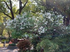 -申粤轩酒楼·三十年粤菜经典(丁香花园店)