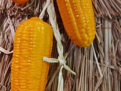 -老阿爸江浙土菜(奥体中心店)