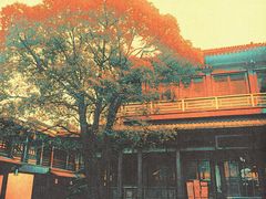 -香积寺