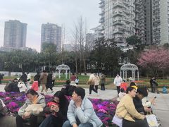 -重庆动物园·东二门售票处