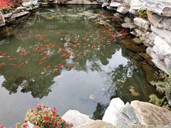 -香山公园-东宫门售票处