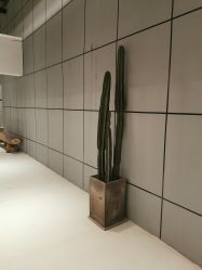 -无界瑜伽普拉提