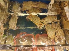 -渔中舟海鲜大排档(普陀沈家门店)
