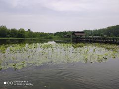 -溱湖国家湿地公园