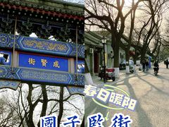 -北京国子监胡同