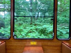 -合肥滨湖国家森林公园