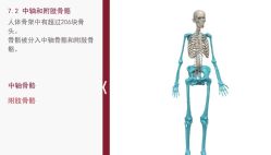 -莫纳瑜伽·普拉提