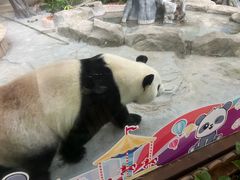 -灵玲国际马戏城