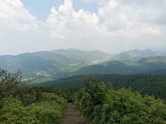 -武陵山森林公园