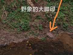-野象谷景区