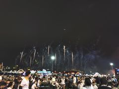 -第35届青岛国际啤酒节