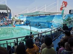 -西安秦岭野生动物园