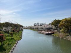 -上海海湾国家森林公园