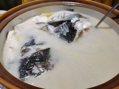 白汤有机鱼头-千岛湖小鱼儿·淳安匠心农家菜