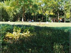 -火炉山森林公园