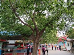 -丰台花园