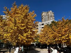-辽宁大学(崇山校区)
