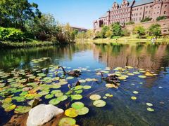 -松山湖南湖湾露营营地