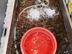 -赵氏老北京涮羊肉羊蝎子(蓝村店)