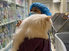-北京观赏动物医院·24小时大型综合·猫专科·异宠专科