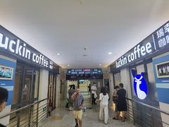 -上海市第六人民医院(临港院区)