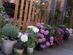 -凤来栖·净庭院·火锅(欧尚店)