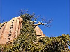 -云南野生动物园