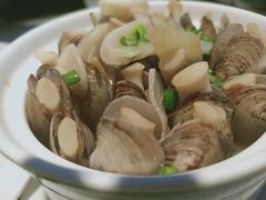 老酒茶盅插蛏-宋小谨(惠安禹洲店)