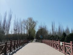 -大兴滨河森林公园