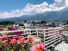 景观位-唐咖精品咖啡(大理古城手冲店)