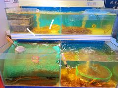 -蛙太牛牛肉海鲜自助火锅(台江万达店)