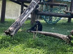 -上海动物园(地铁站)