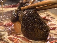-渝嘴小老弟老火锅(华新村店)