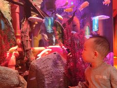 -沈阳海洋探索中心