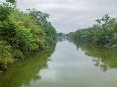 -黄海国家森林公园
