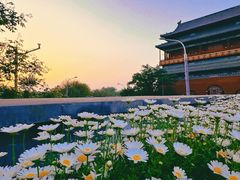 -苦尽酒馆·川菜(鼓楼店)