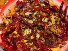 -柴窝堡22号辣子鸡·传承新疆菜