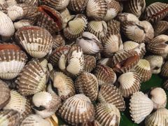 -马哥孛罗咖啡厅·Cafe Marco (厦门马哥孛罗东方大酒店)