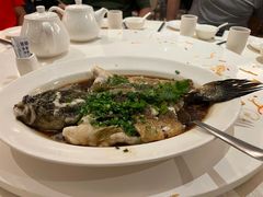 -同乐经典(乌节路店)